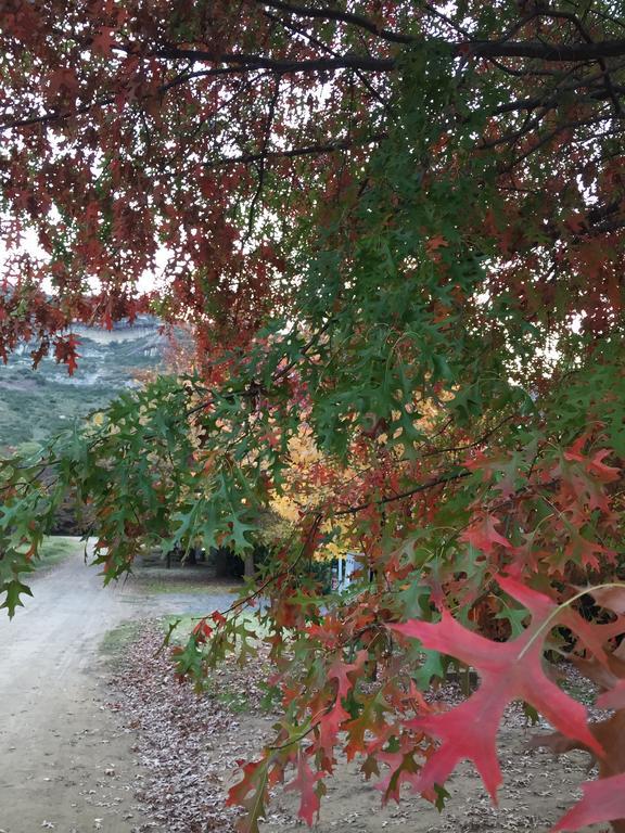 Zwartmodder Clarens Διαμέρισμα Εξωτερικό φωτογραφία